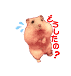 むぎごまちゃん（個別スタンプ：9）