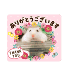 むぎごまちゃん（個別スタンプ：10）