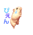 むぎごまちゃん（個別スタンプ：11）