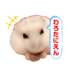 むぎごまちゃん（個別スタンプ：15）