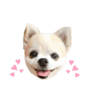 らぶちゃんと妹たち❤︎❤︎（個別スタンプ：5）