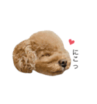 らぶちゃんと妹たち❤︎❤︎（個別スタンプ：16）