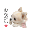 らぶちゃんと妹たち❤︎❤︎（個別スタンプ：21）
