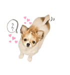 らぶちゃんと妹たち❤︎❤︎（個別スタンプ：32）