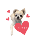 らぶちゃんと妹たち❤︎❤︎（個別スタンプ：37）