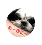 ろくちゃんスタンプだよ（個別スタンプ：4）