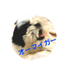 ろくちゃんスタンプだよ（個別スタンプ：5）