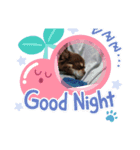 Choco'sスタンプ（個別スタンプ：1）