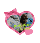 Choco'sスタンプ（個別スタンプ：5）