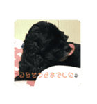 My important being（個別スタンプ：1）