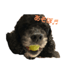 My important being（個別スタンプ：4）