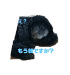 My important being（個別スタンプ：5）