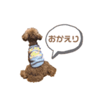 銀次はん（個別スタンプ：7）