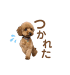 銀次はん（個別スタンプ：18）