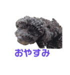 そらさんのひ（個別スタンプ：2）