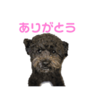 そらさんのひ（個別スタンプ：4）