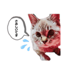 日常ニャーちゃん。（個別スタンプ：7）