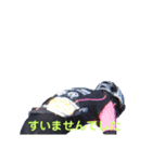 すといっくなたくてぃー（個別スタンプ：8）