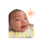 はると貼るよ（個別スタンプ：6）