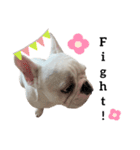 我が家のこてっちゃん part.2（個別スタンプ：16）