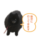 黒ぽめだけどスタンプになりたい3（個別スタンプ：17）