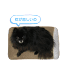 黒ぽめだけどスタンプになりたい3（個別スタンプ：23）