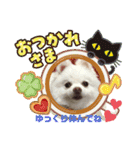 ポメコロちゃん 3（個別スタンプ：4）