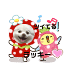 ポメコロちゃん 3（個別スタンプ：8）