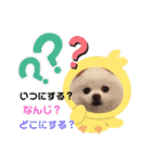 ポメコロちゃん 3（個別スタンプ：9）