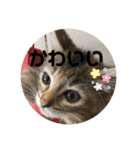 うにのあ2（個別スタンプ：9）
