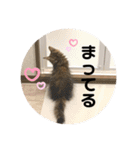 うにのあ2（個別スタンプ：15）