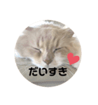 うにのあ2（個別スタンプ：22）
