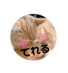 うにのあ2（個別スタンプ：24）