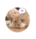 うにのあ2（個別スタンプ：26）