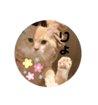 うにのあ2（個別スタンプ：28）