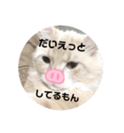 うにのあ2（個別スタンプ：29）
