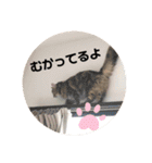 うにのあ2（個別スタンプ：31）
