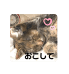 うにのあ2（個別スタンプ：32）