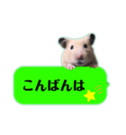 吹き出しどんべぇ（個別スタンプ：3）