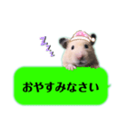 吹き出しどんべぇ（個別スタンプ：4）