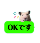 吹き出しどんべぇ（個別スタンプ：5）