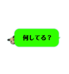 吹き出しどんべぇ（個別スタンプ：9）