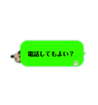吹き出しどんべぇ（個別スタンプ：10）
