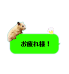 吹き出しどんべぇ（個別スタンプ：14）