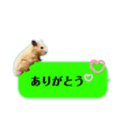 吹き出しどんべぇ（個別スタンプ：15）