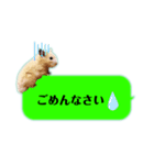 吹き出しどんべぇ（個別スタンプ：16）
