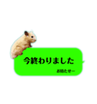 吹き出しどんべぇ（個別スタンプ：17）