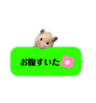 吹き出しどんべぇ（個別スタンプ：19）
