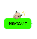 吹き出しどんべぇ（個別スタンプ：20）