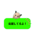 吹き出しどんべぇ（個別スタンプ：21）